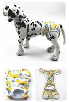 Washable Dog Nappies
