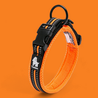 Truelove Reflective Dog Collar