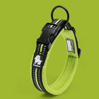 Truelove Reflective Dog Collar