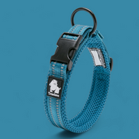 Truelove Reflective Dog Collar