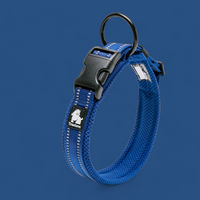 Truelove Reflective Dog Collar