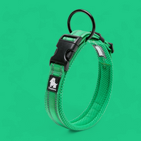 Truelove Reflective Dog Collar