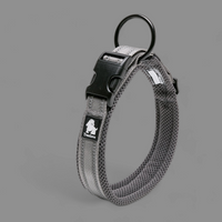 Truelove Reflective Dog Collar