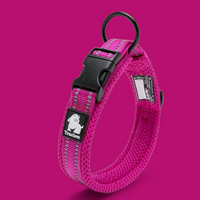Truelove Reflective Dog Collar