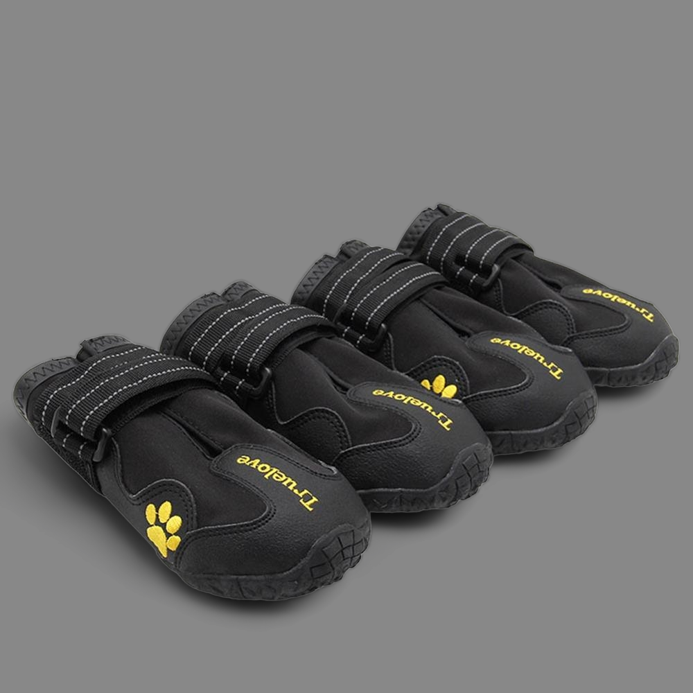 Truelove sales dog shoes