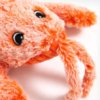 Floppy Lobster Toy