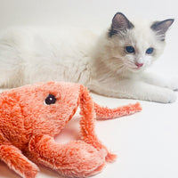 Floppy Lobster Toy