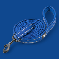Truelove Reflective Dog Leash