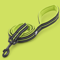 Truelove Reflective Dog Leash