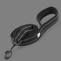 Truelove Reflective Dog Leash