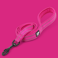 Truelove Reflective Dog Leash