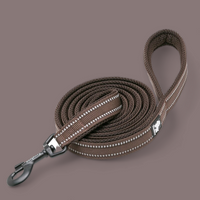 Truelove Reflective Dog Leash