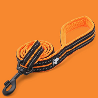 Truelove Reflective Dog Leash