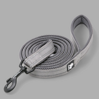 Truelove Reflective Dog Leash