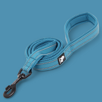 Truelove Reflective Dog Leash
