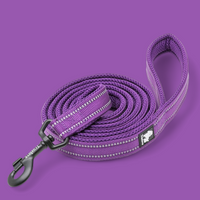 Truelove Reflective Dog Leash