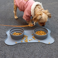 
              Portable Pet Bowl
            