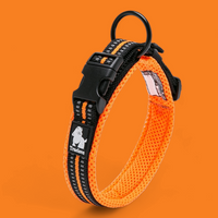 
              Truelove Reflective Dog Collar
            