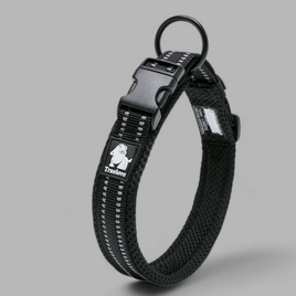 Truelove Reflective Dog Collar