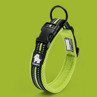 
              Truelove Reflective Dog Collar
            