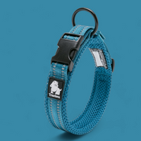 
              Truelove Reflective Dog Collar
            