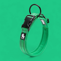 
              Truelove Reflective Dog Collar
            