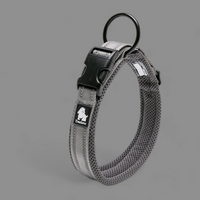 
              Truelove Reflective Dog Collar
            