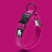 
              Truelove Reflective Dog Collar
            