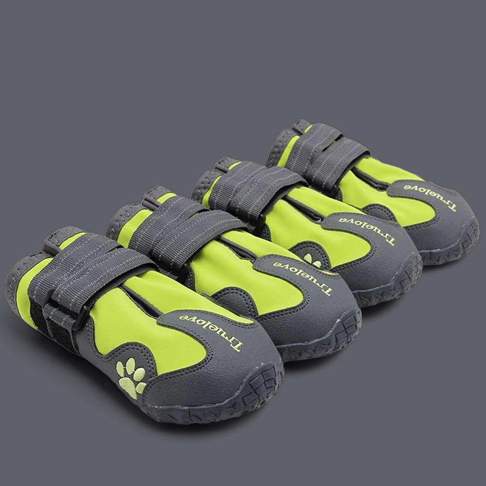 Truelove top dog shoes