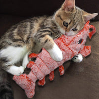 
              Floppy Lobster Toy
            