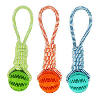 
              Teeth Cleaning Dog Toy
            