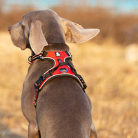 
              Truelove Reflective Dog Harness
            