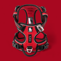 
              Truelove Reflective Dog Harness
            