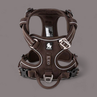 
              Truelove Reflective Dog Harness
            