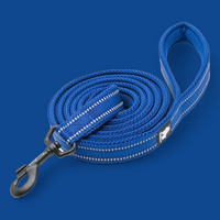 
              Truelove Reflective Dog Leash
            