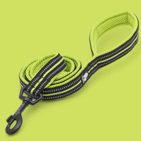 
              Truelove Reflective Dog Leash
            