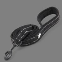 
              Truelove Reflective Dog Leash
            