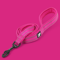 
              Truelove Reflective Dog Leash
            