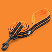 
              Truelove Reflective Dog Leash
            