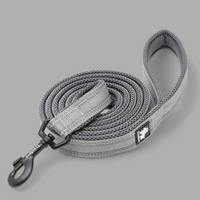 
              Truelove Reflective Dog Leash
            