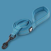 
              Truelove Reflective Dog Leash
            