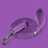 
              Truelove Reflective Dog Leash
            