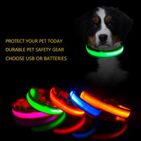 
              LED Safety Dog Collar
            