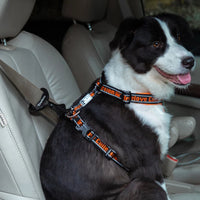 
              Truelove Car Seat Belt Safety Buckle
            