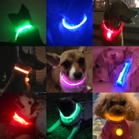 
              LED Safety Dog Collar
            